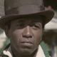 Roots (Warner Bros.)